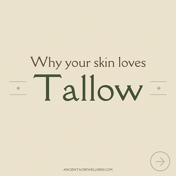 Why Your Skin Loves Tallow