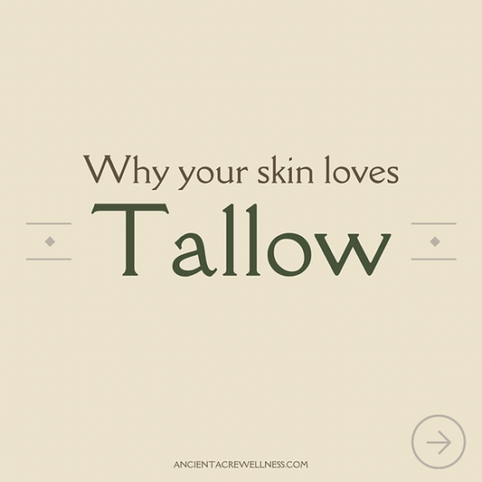 Why Your Skin Loves Tallow